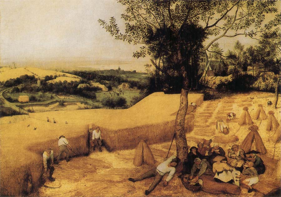 BRUEGHEL, Pieter the Younger The Corn Harvest